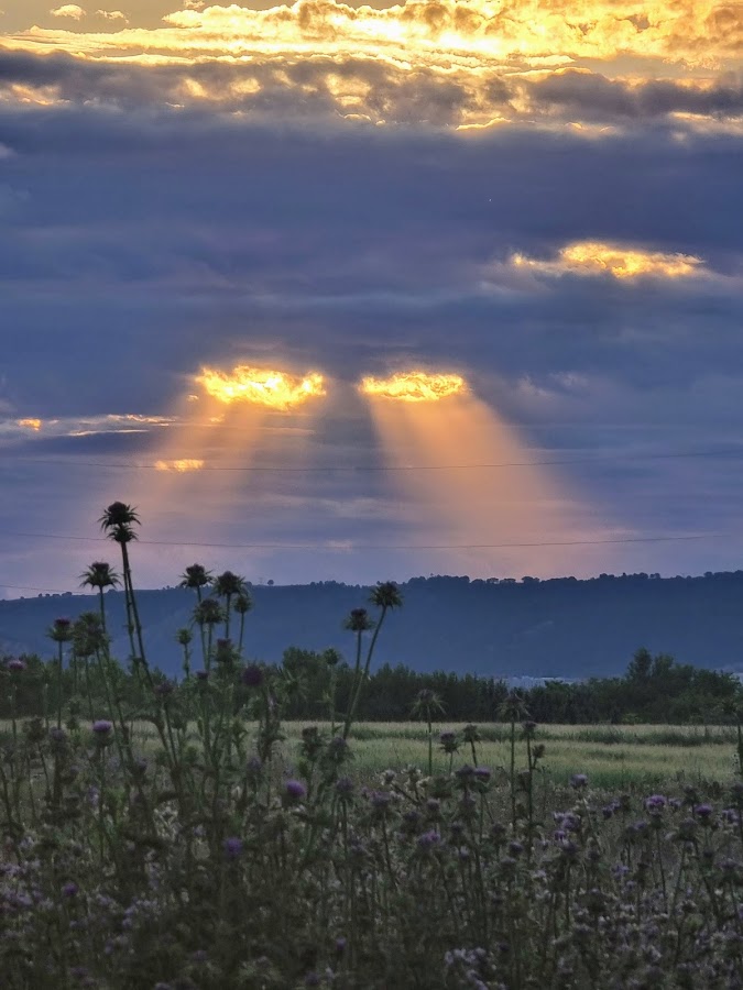 Club Social El Mirador