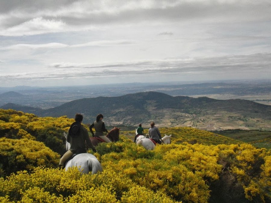 Gredos a Caballo