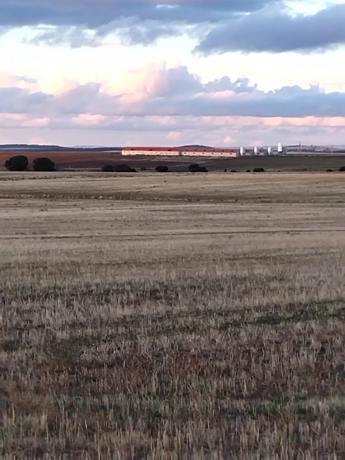 Mata De Quintanar