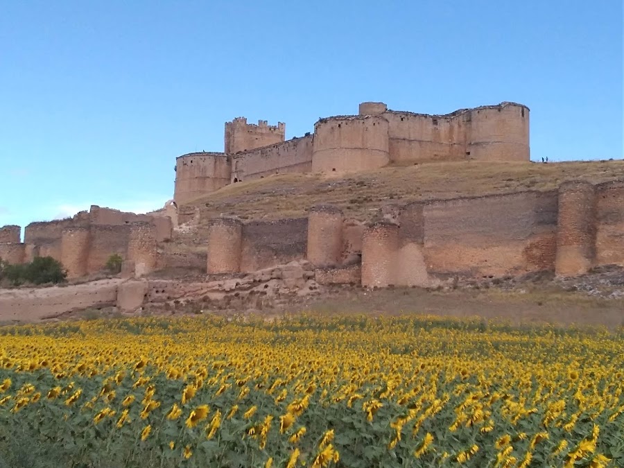 Piscinas Municipales Berlanga de Duero