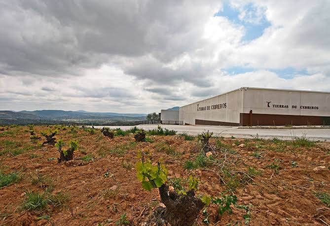 Tierras de Cebreros (Hotel, restaurante y bodega)