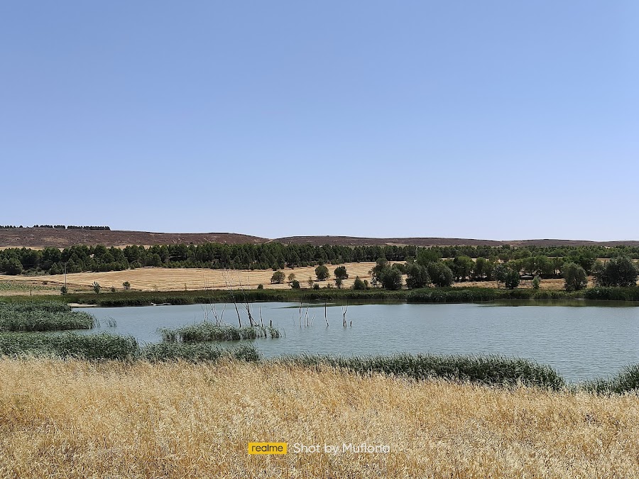 Zona Recreo Carrascosa (Embalse de Campos del Paraíso)+Barbacoas+PArque niños