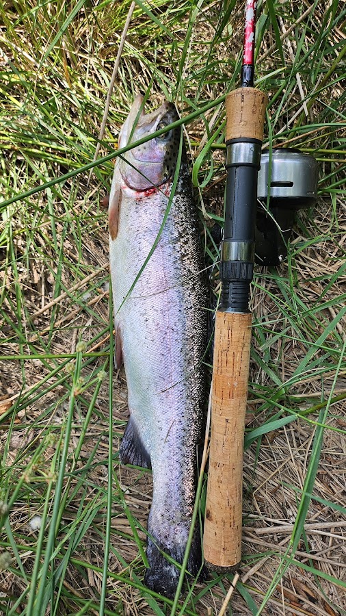 COTO PESCA MORANCHEL