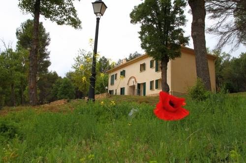 El Colvillo - Complejo de Turismo Rural